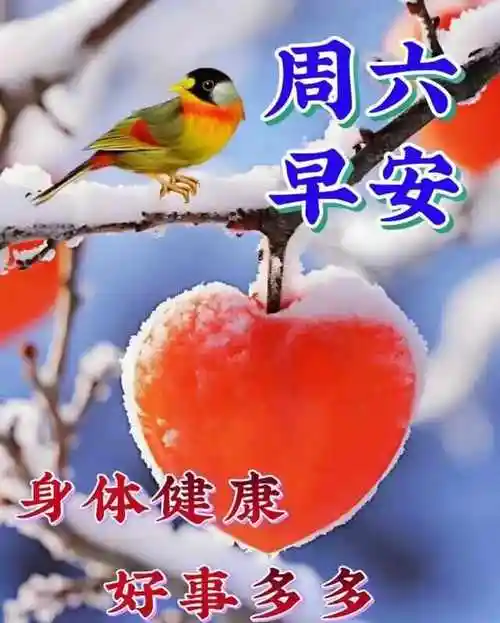 2023年12月9日周六早安问候语 星期六早上好祝福图片