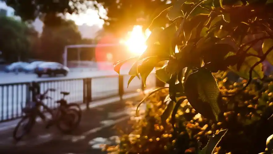 太阳出来,城市开始苏醒