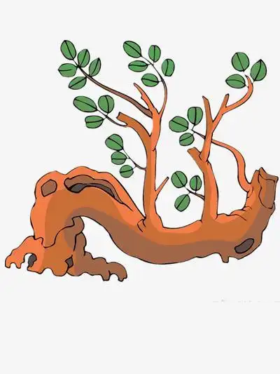 歪脖子树干简笔画歪脖子树简笔画圣诞树图片简笔画彩色树简笔画 树的