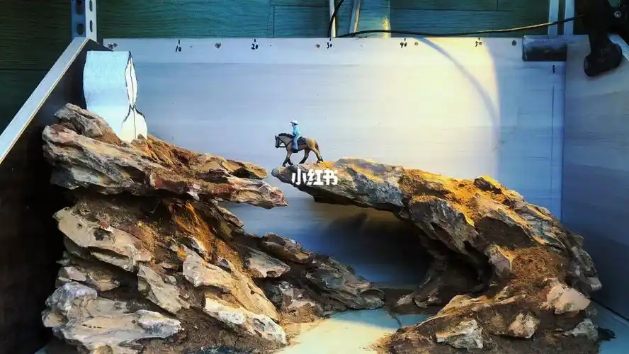 松皮石鱼缸造景