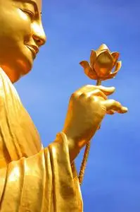 手捧莲花花图片