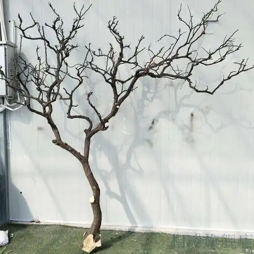 干树枝造景干枝树干许愿树枯树室内庭院造型树枝干原木树枝装饰树高