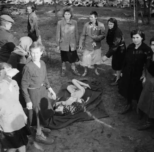 自告奋勇去卖身?纳粹是如何在集中营里办起妓院的