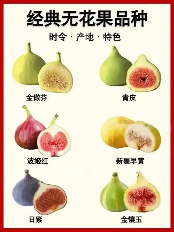 无花果汁是一种以无花果为原料制作 - 抖音