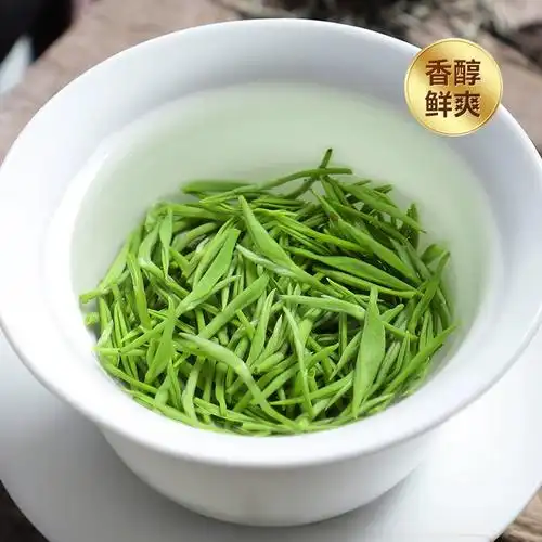 特价正宗信阳毛尖绿茶小包装茶叶信阳绿茶浓香耐泡高山茶叶大份两斤装