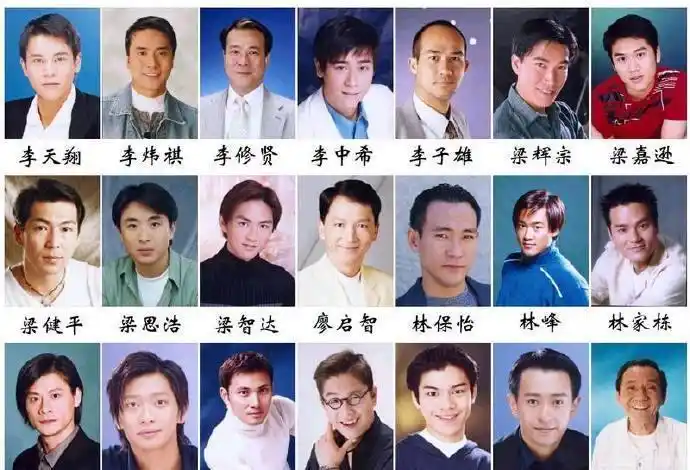tvb的那些主角与配角们——男演员篇