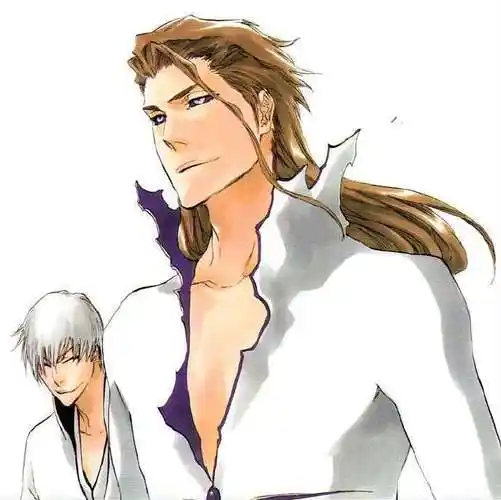 『死神 bleach』蓝染惣右介 5/29 生日