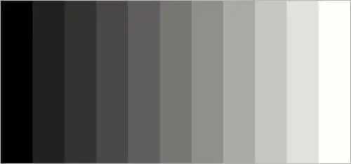 我拍黑白照片,也需要校色吗?-摄影早自习第1424天-喜马拉雅