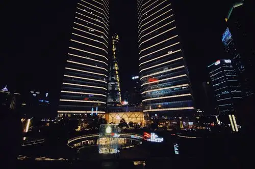 上海柏悦酒店phshzhisheng wang