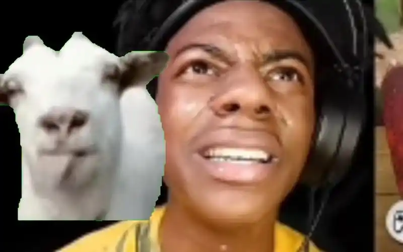 ishowspeed甲亢哥吐舌羊原版音频