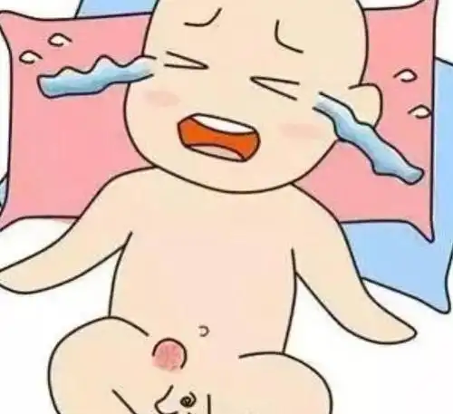 疝气原来不是气