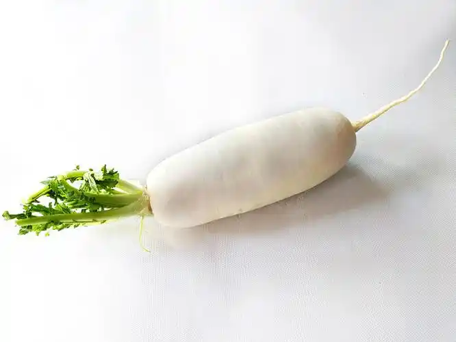 白萝卜,萝卜图片_白萝卜,萝卜高清图片_全景视觉