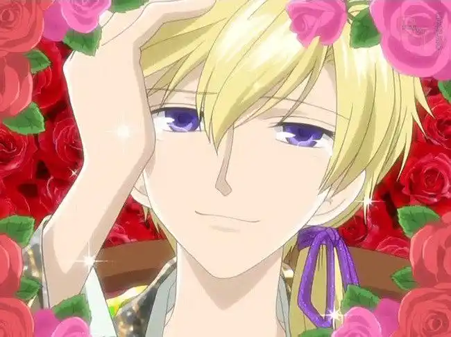 樱兰高校男公关部须王环