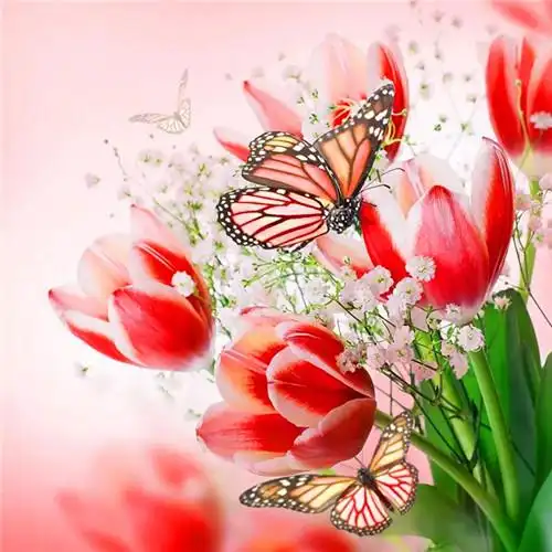 花开富贵头像 适合妈妈们用的高清好看花开富贵图片微信头像