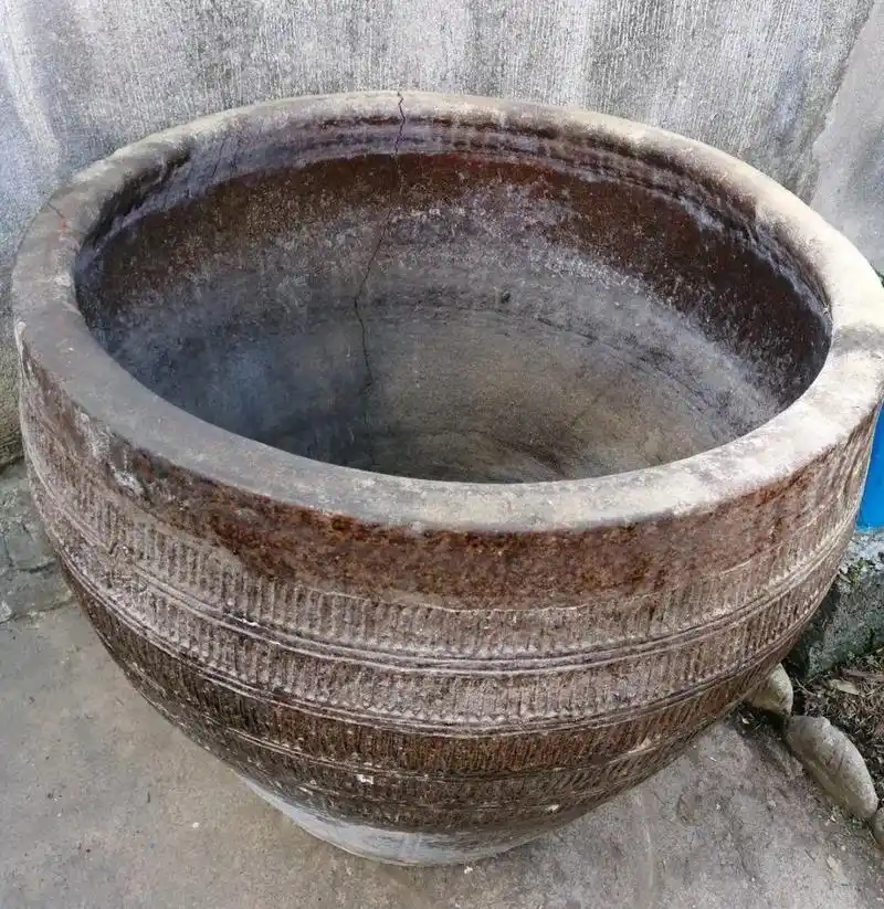 大水缸养花30年不用换盆放门口能当传家宝