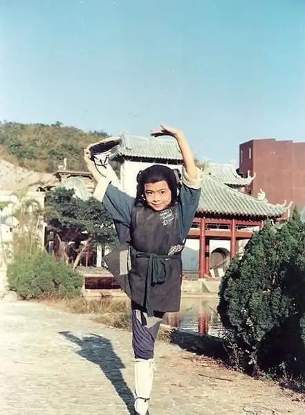 小时候的樊少皇是十足正太一枚,只不过这个正太的保质期有点短了.