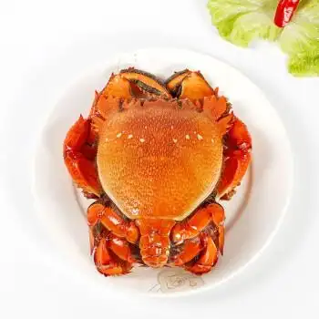 海鲜颂冷冻老虎蟹螃蟹青蟹海鲜水产600g700g只