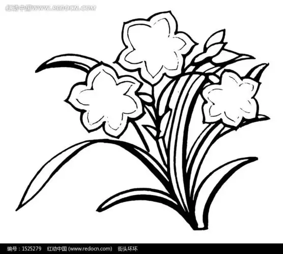 矢量花朵花卉线条图形