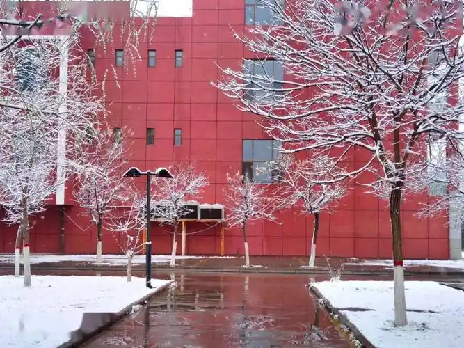 青海大学全景vr青大人的四季恋歌