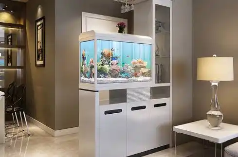 进门玄关摆放鱼缸隔断柜不仅美观实用还寓意如鱼得水