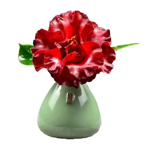 黑色黑魔法茶花盆栽树苗小黑骑士嫁接带花苞庭院阳台木本花卉带土