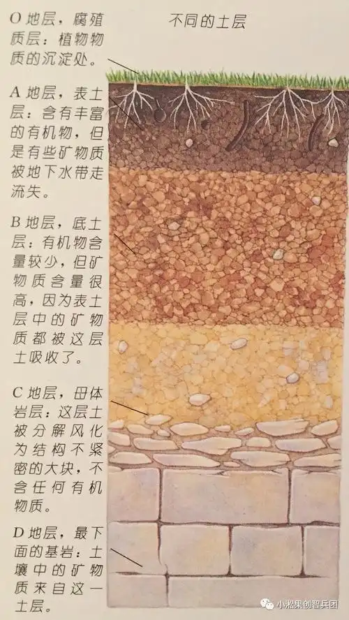 土壤的奥秘