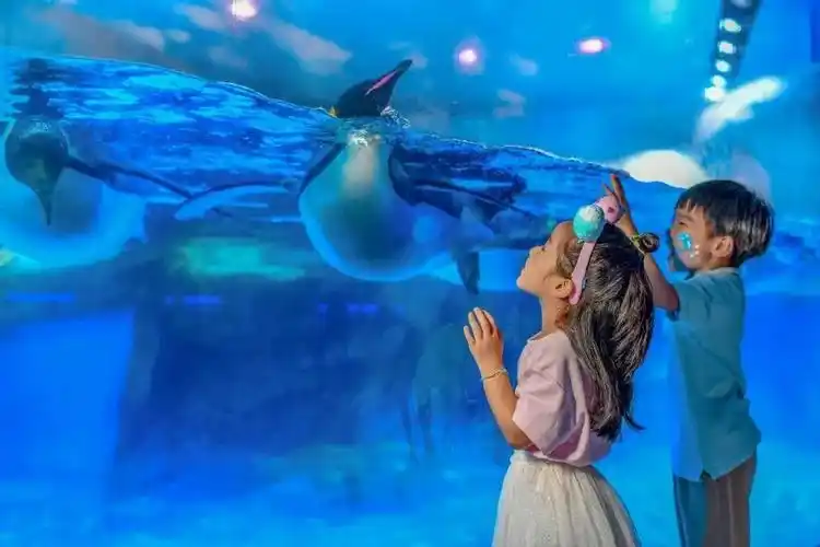 2022成都海昌极地海洋公园门票多少钱表演时间地址游玩攻略