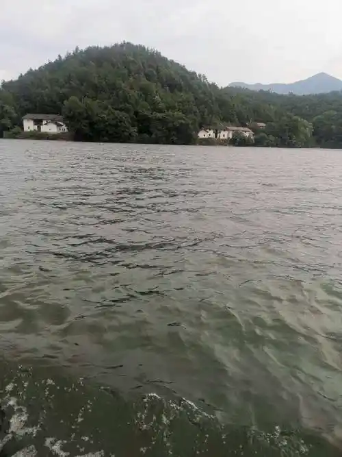 万安水库是一个天然鱼场,水质优良,盛产草鲤鳊鲫等各种鱼类,肉质鲜美