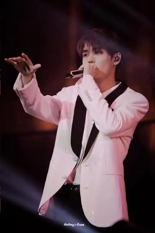 林彦俊我们的演唱会