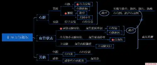 2019临床医学基础知识循环系统考点导图