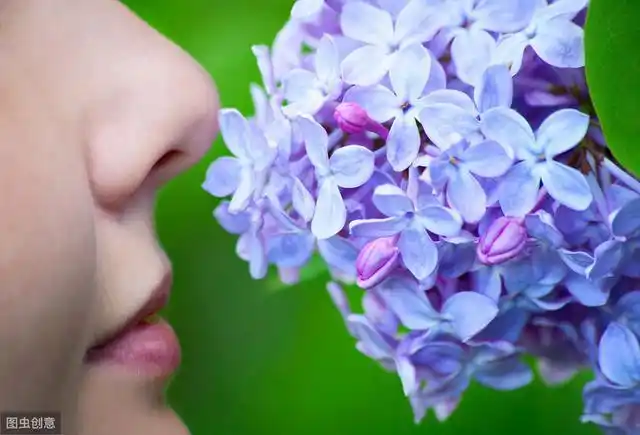 减肥必须节食美国贝勒大学最新研究闻气味可能减肥