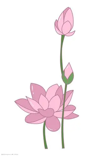 关键词:粉色的绽放荷花插画 粉色的荷花 卡通插画 荷花插画 莲花插画