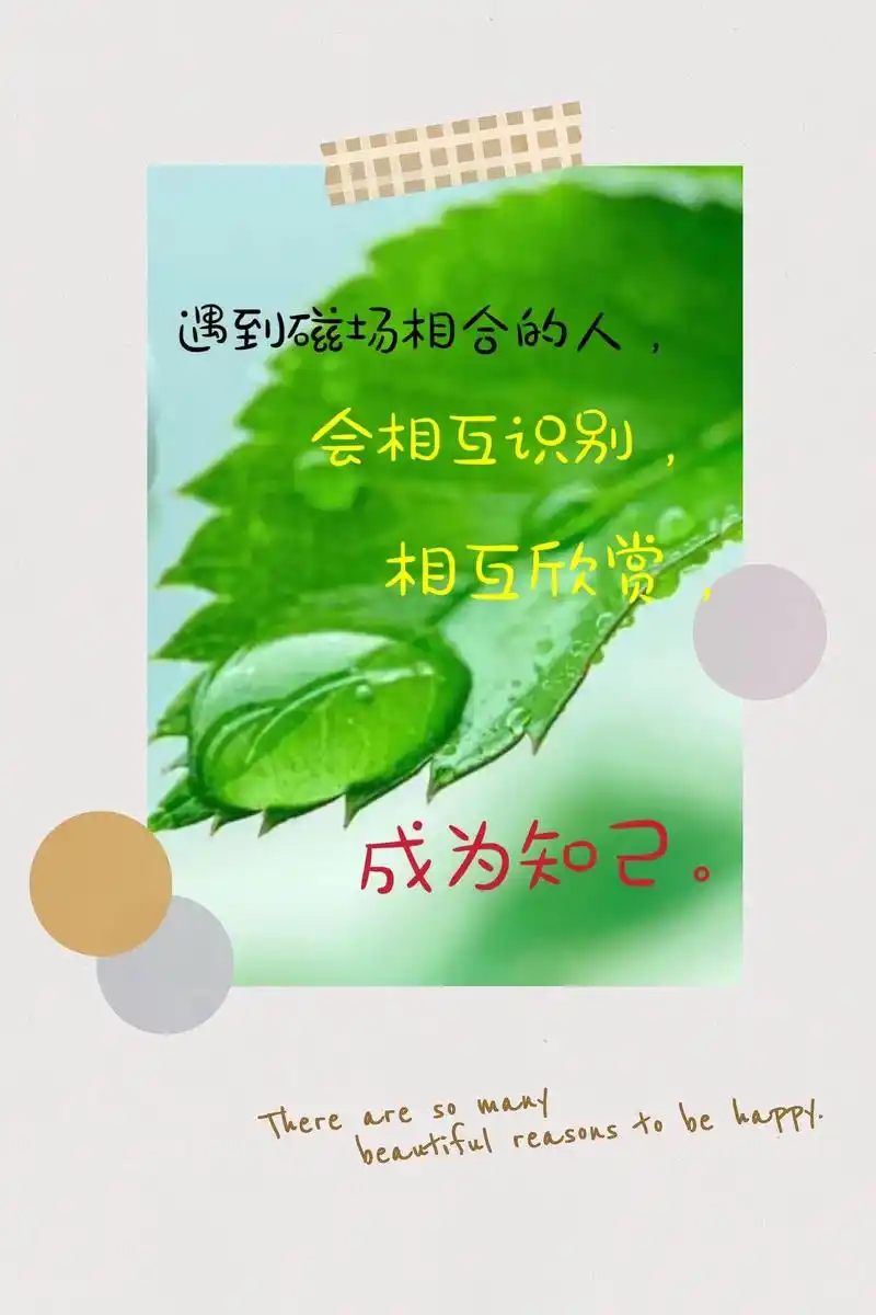 成为知己therearesomany相互欣赏会相互识别遇到磁场相合的人