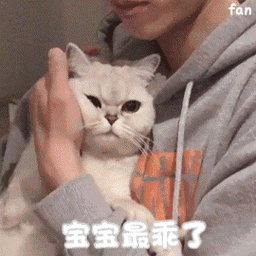 宝宝最乖了-表情图片 - 壁纸之家