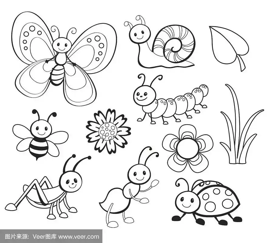 卡通,昆虫,矢量,可爱的,线条画