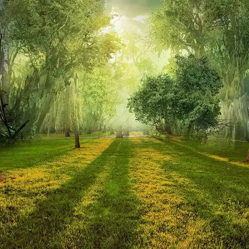 好看的主图/直通车背景图片素材免费下载,本次作品主题是森林背景主图