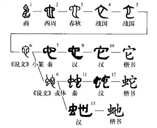 字源演变/蛇[汉语汉字] 编辑 蛇,象形字,像蛇之形.