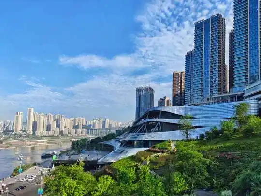 重庆市南岸区商务委员会