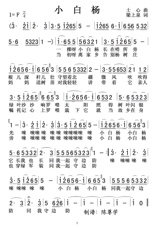 小白杨简谱小白杨歌词