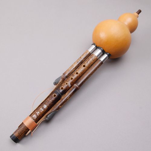 傣家古音葫芦丝的优惠券大全