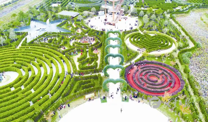 中华麋鹿园,荷兰花海,梦幻迷宫,知青农场等景点,以各自的特色让游客乐