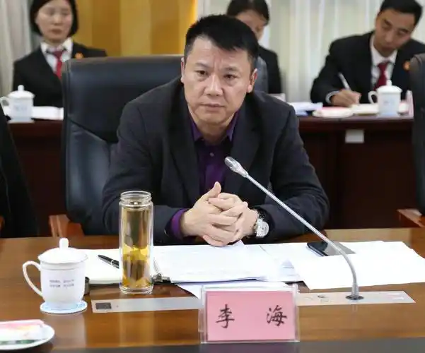 江油市委常委,政法委书记李海强调,深刻认识营造法治化营商环境的重大