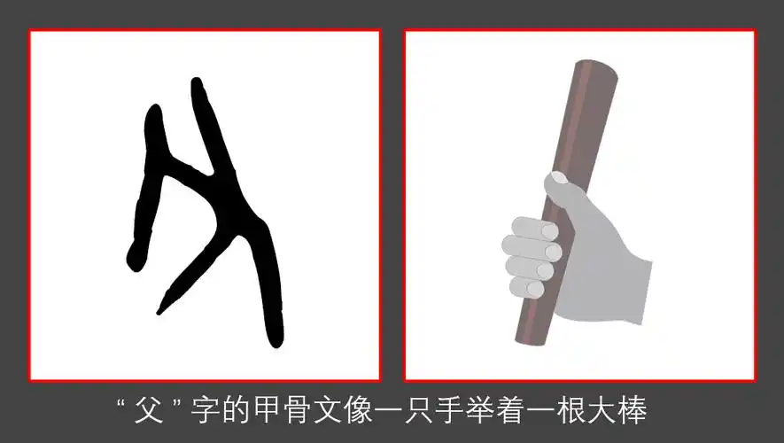 甲骨文中的"父"字,像一只手(或左或右)举着一根大棒(也有人说是上古