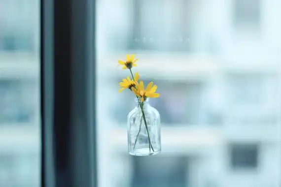 lomo系列唯美书本意境带字图片