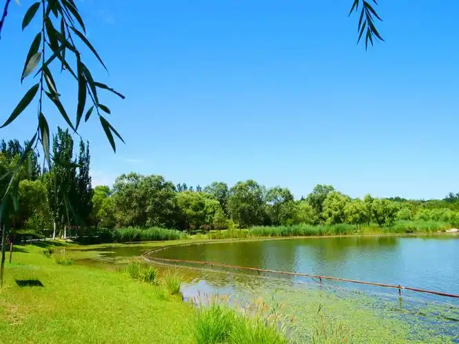 凉爽的风带走了秋日下的热度