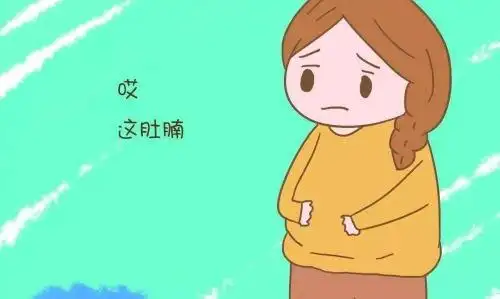 运动营养搭档prosupps海德力高蛋白代餐奶昔