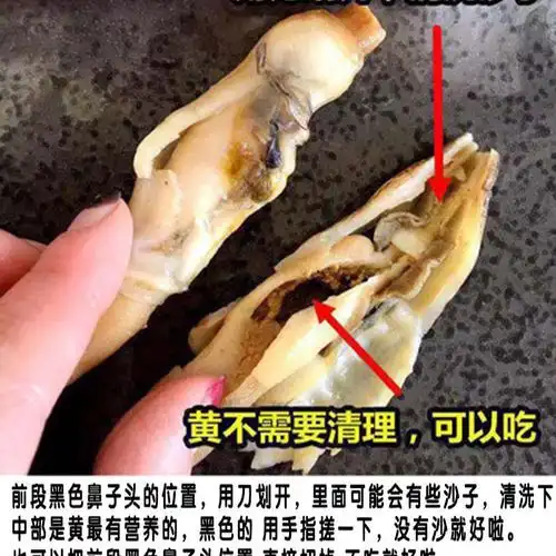 宝然新鲜蛏王肉竹蛏肉蛏子肉现剥手指蛏肉饱满无冰衣 半斤装蛏王肉