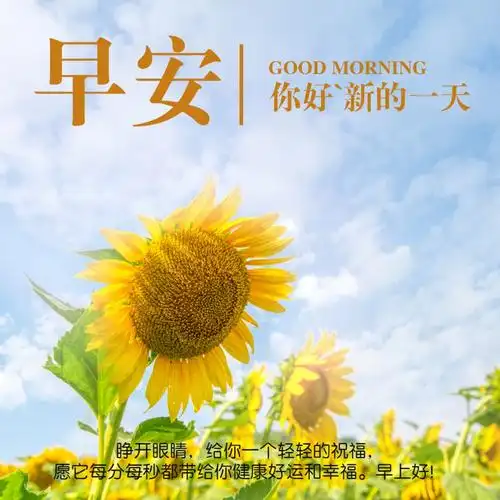 早上好图片2021最新图片 又是新的一天 - 早安心语- 不二励志语录