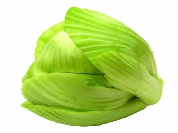 品质优良的包心芥,掌握栽培技术,轻松提高产量