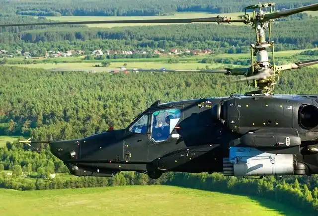 自带肃杀气质的双刀独行侠黑鲨卡50图鉴100图